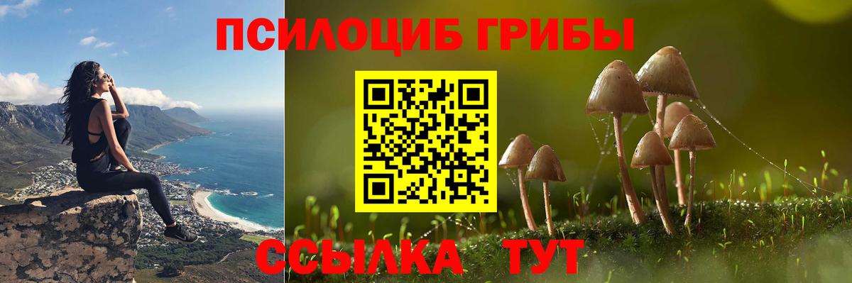 продажа наркотиков  Вход с VPN  Великие Луки  Псилоцибиновые грибы Psilocybine cubensis 