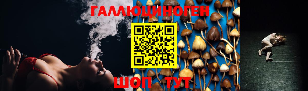 Псилоцибиновые грибы мицелий Великие Луки